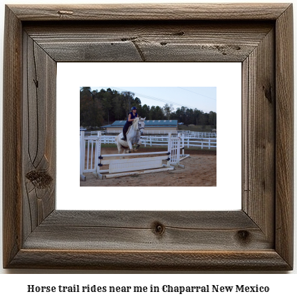 horse trail rides near me in Chaparral, New Mexico